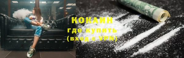 гашик Аркадак