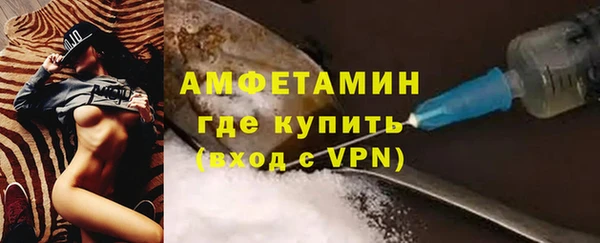 гидра Арсеньев