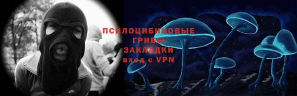 гашик Аркадак