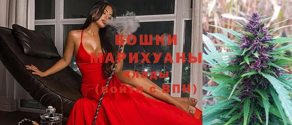 гашик Аркадак