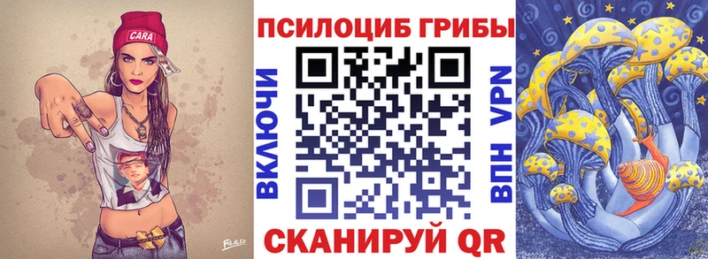 наркота  Челябинск  Галлюциногенные грибы Psilocybe 